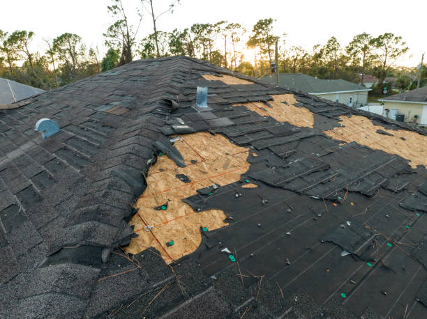 Best EPDM Roofing  in USA